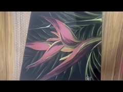 กระจก สี สี ของ โบสถ์ หน้าต่าง กระจก สี สี CCC ตัด ตาม ขนาด